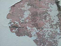 fkillineybeforeexternal 1305.jpg